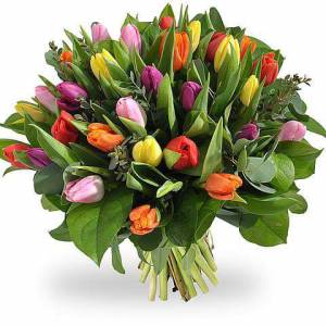 FB_IMG_1453292384508 FB_IMG_1453292384508