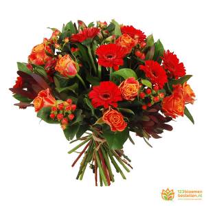 klassiek oranjerood klassiek oranjerood